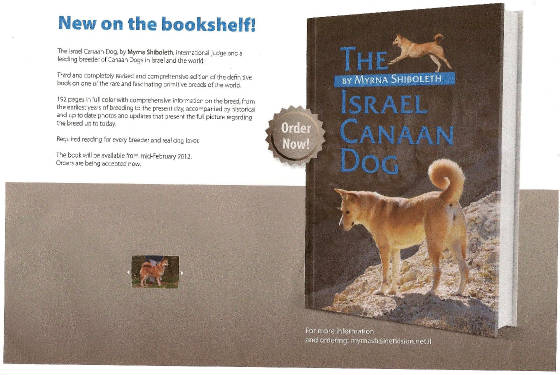 canaanbookcover.jpg